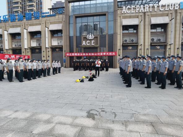 轉(zhuǎn)載：颯！酷！高溫下的襄陽街頭驚現(xiàn)一群“獵鷹”！